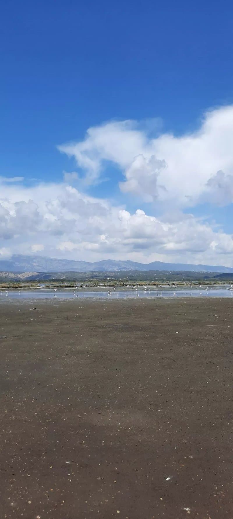 Ulcinj Salina