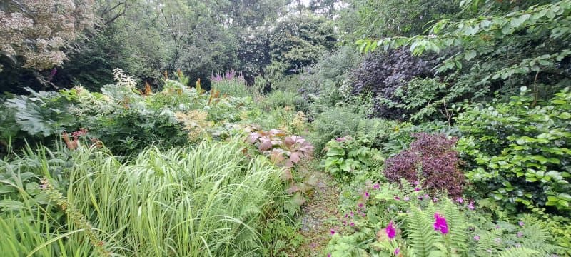 Aultaghreagh Cottage Garden