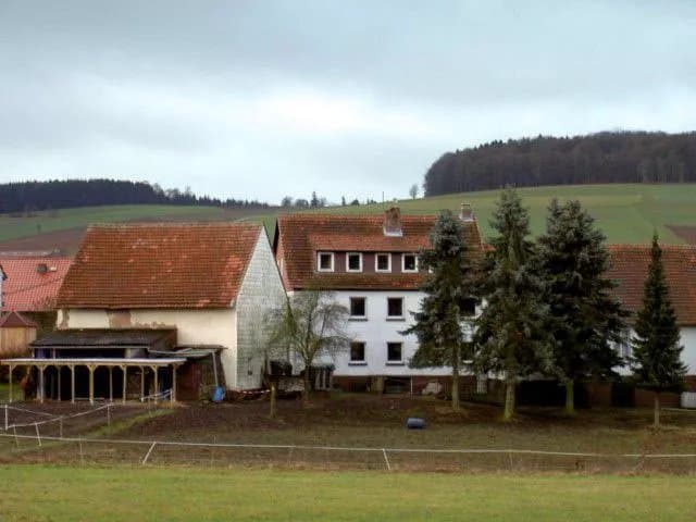 Brown Horses Ranch Reichenbach
