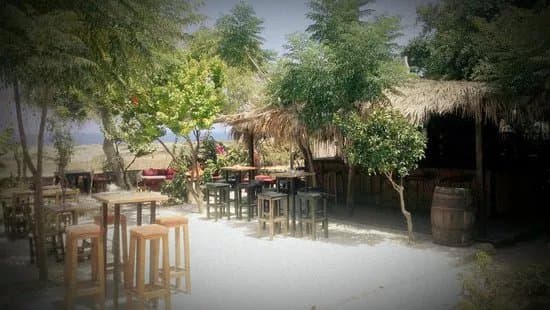 Roots Bar