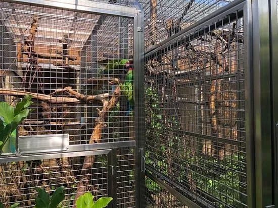 Papousci Zoo