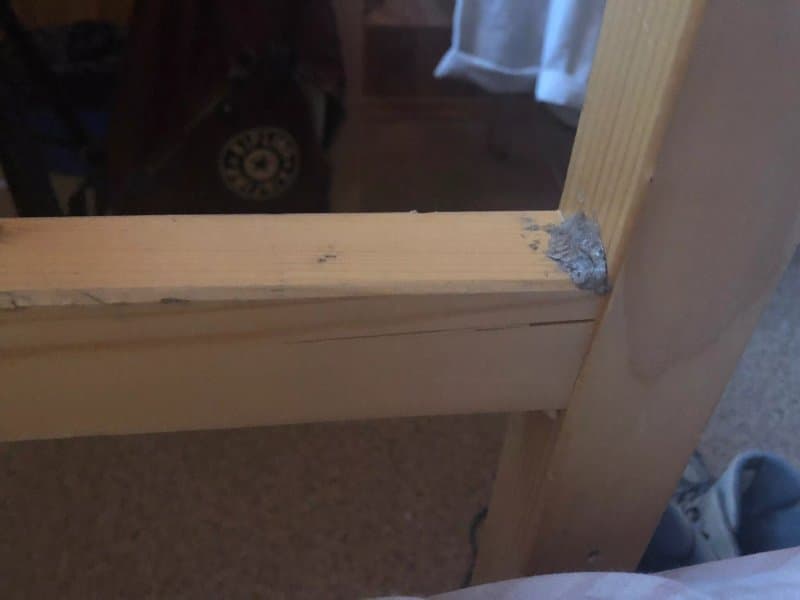 Schronisko PTTK im. Wladyslawa Orkana na Turbaczu