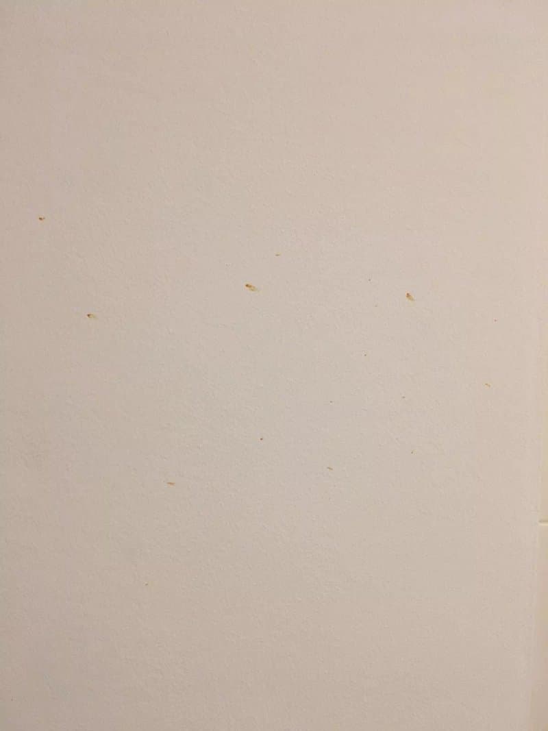 Room And Kitchen Bilbao
