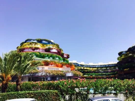 Boas de Ibiza