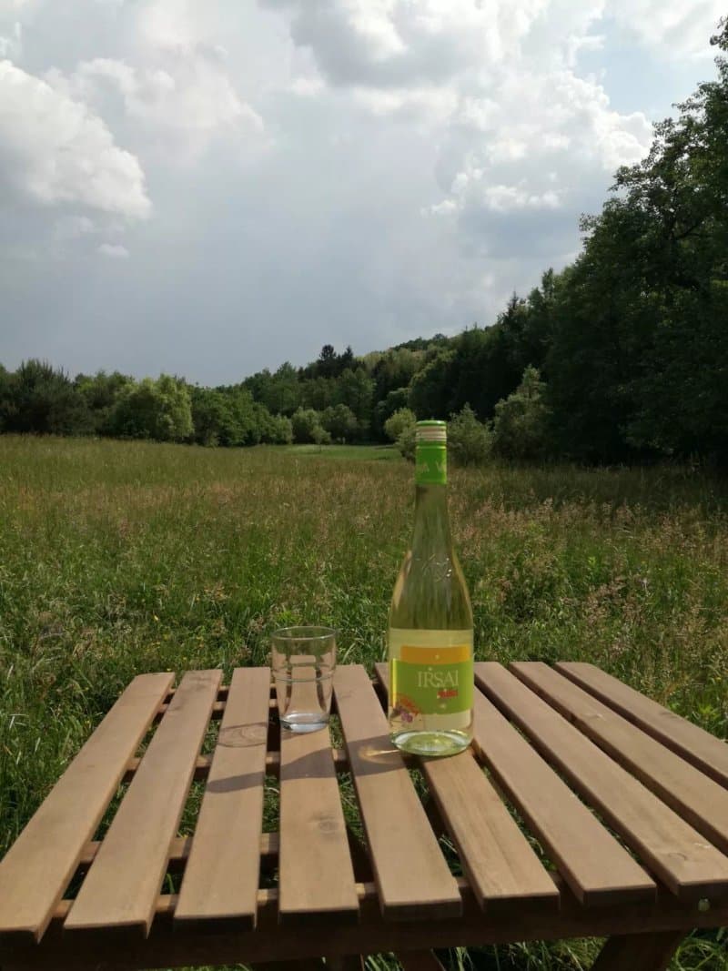 Ninszianna Vendeghaz