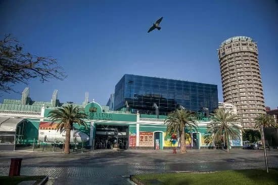 Museo Elder de la Ciencia y la Tecnologia