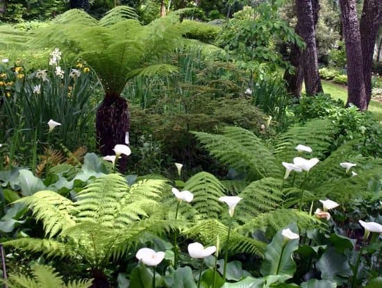 Jardins des Martels