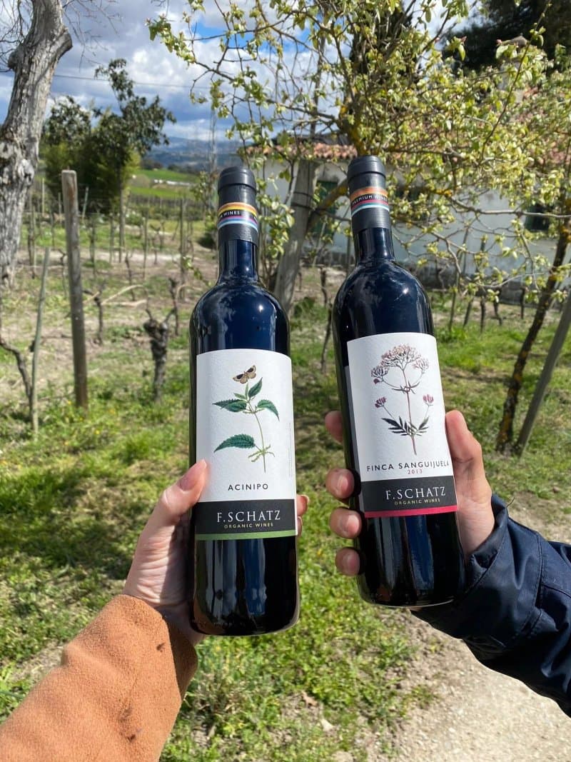 Bodega F. Schatz