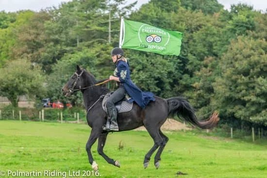 Polmartin Riding Equestrian Site
