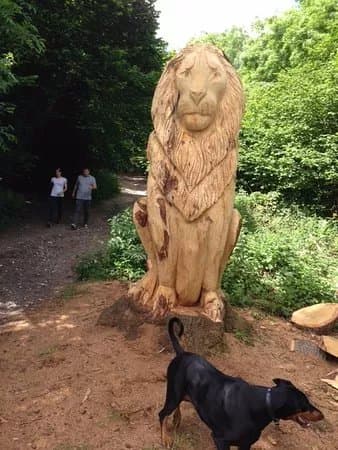 Banstead Woods