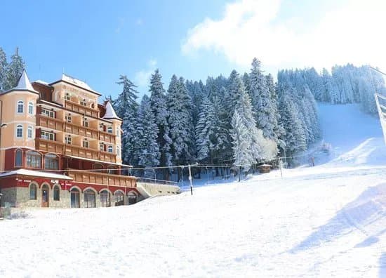 ALPIN Rent Ski & School Borovets