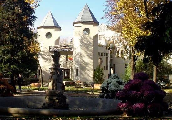 Mihai Eminescu Museum - Literature
