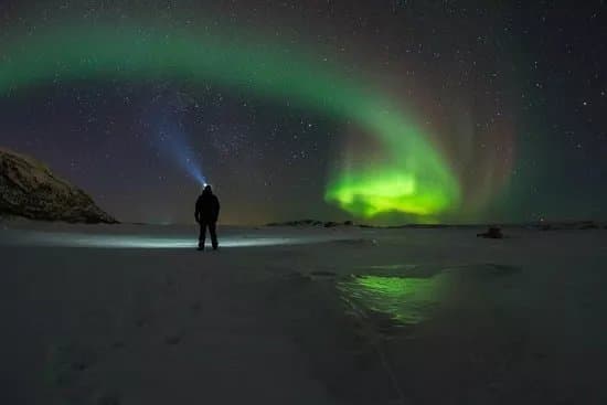 Polar Adventures