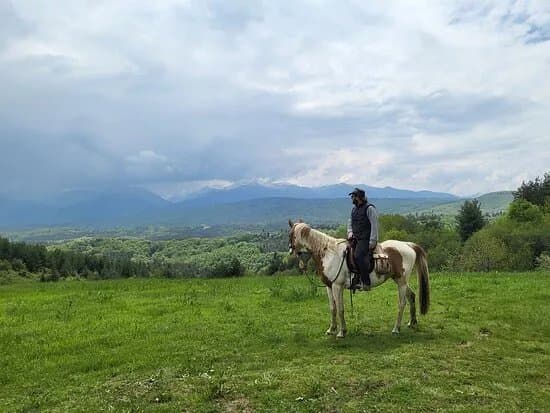 Ranch Butch Camp