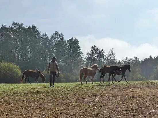 Mystic Mountain Ranch (opg Popravak)