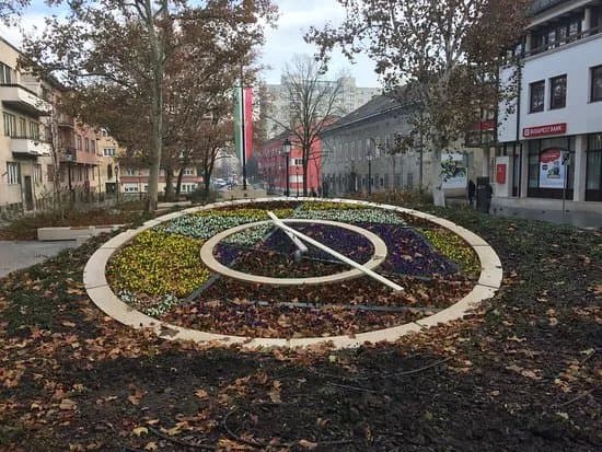 Viragora Flowerclock