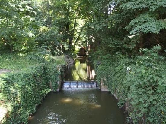 Nemzeti Botanikus Kert