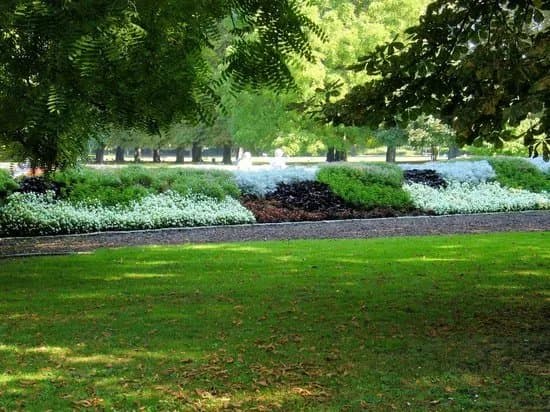 Herzogenriedpark