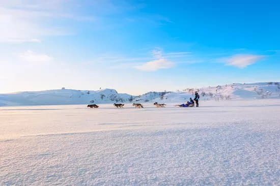 Husky Tours By Snowhotel Kirkenes
