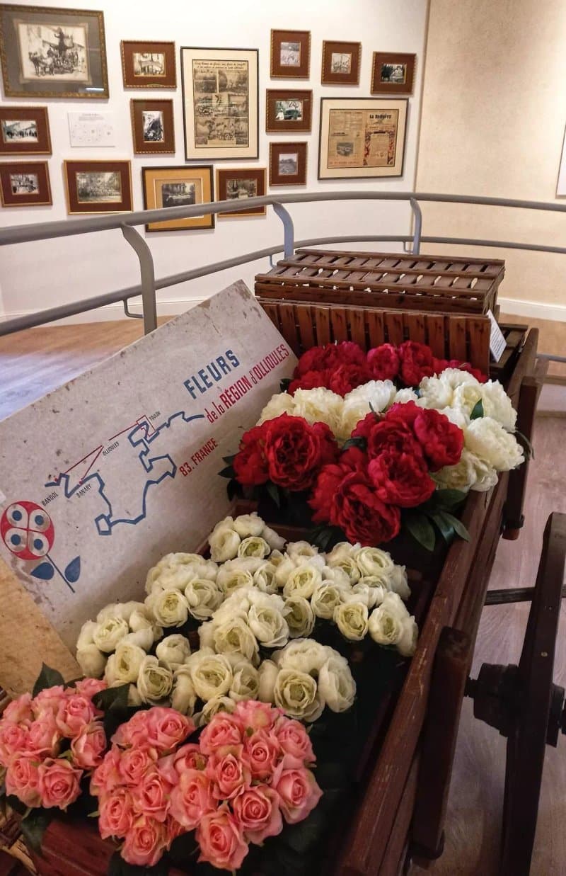 Musee De La Fleur D'ollioules