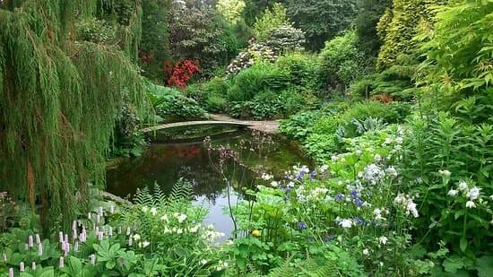 Bide-a-Wee Cottage Garden