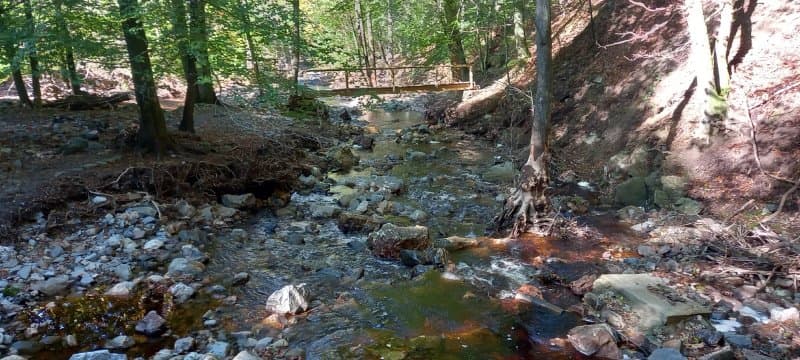 Waterfall Leopold Ii