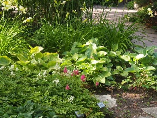 Karl Foerster Garten