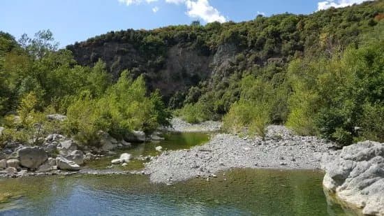 Foresta di Berignone