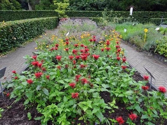Historische moestuin Bartimeus