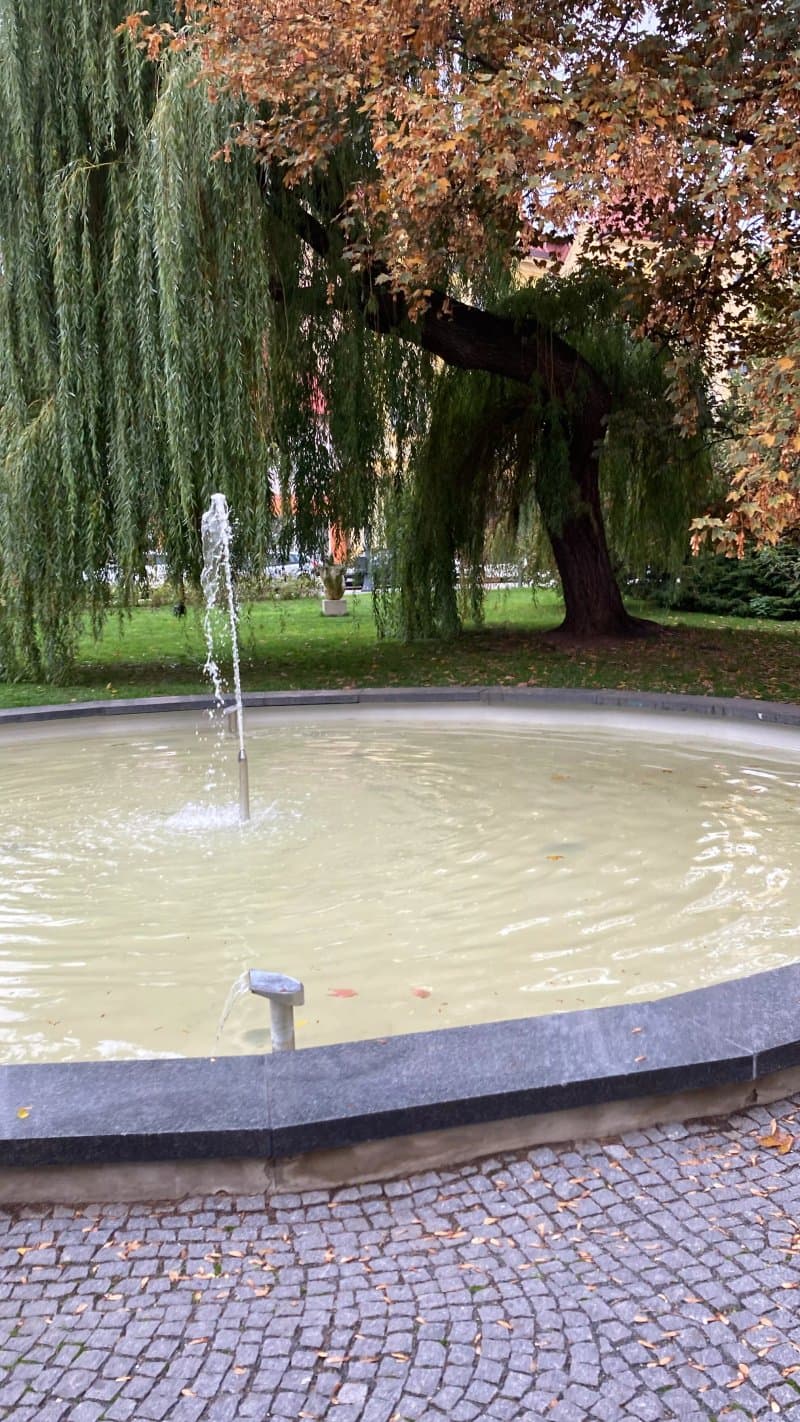 Park Mit Springbrunnen