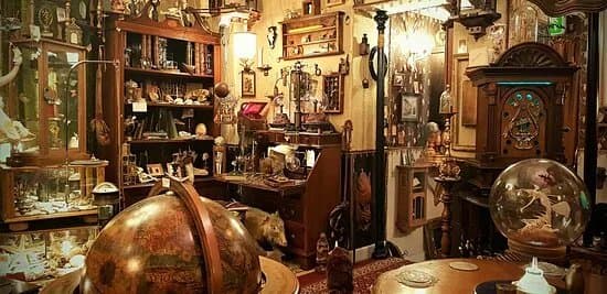Dr. Wolfs Wunderkammer