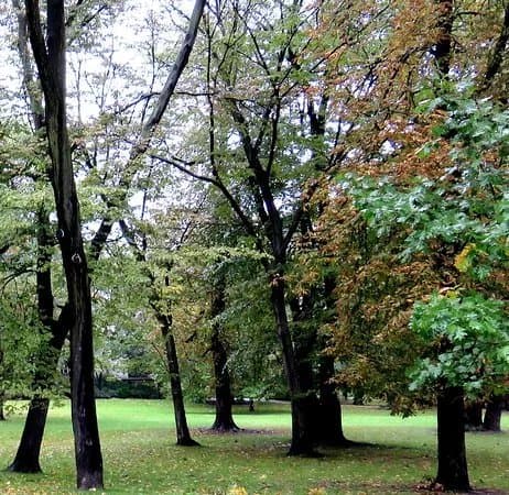 Park Stanislawa Moniuszki