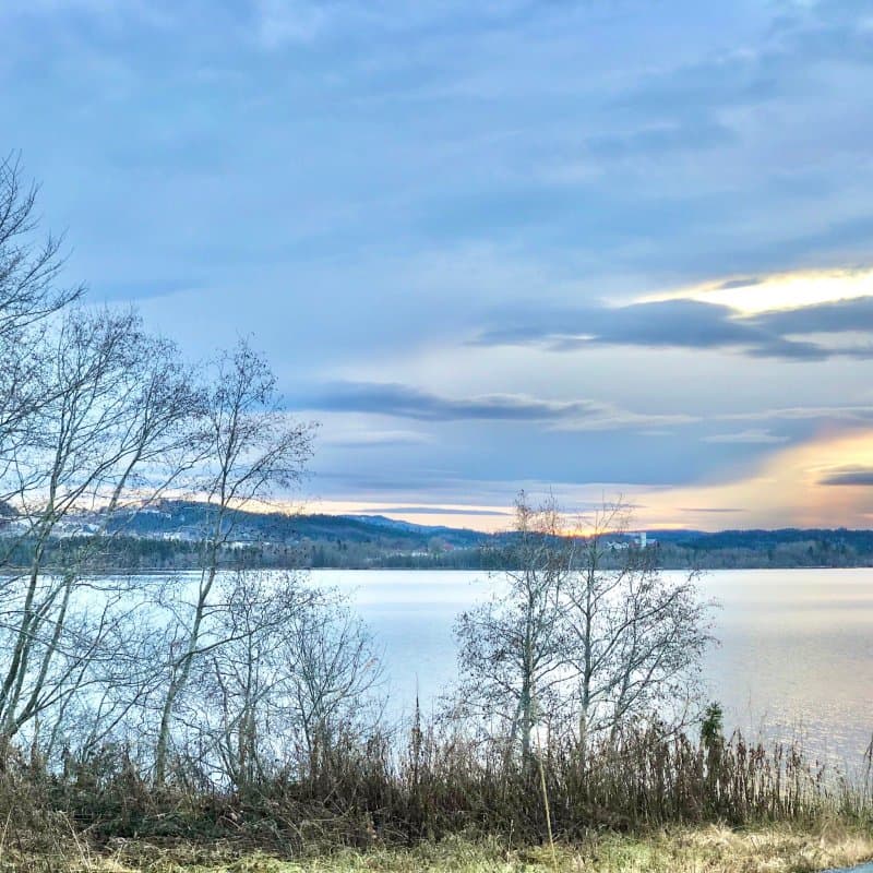 Steinkjer Kommuneskoger Ogndalsbruket