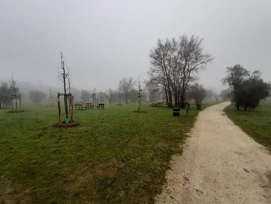 Parco Giardino Don Renzo Forconi