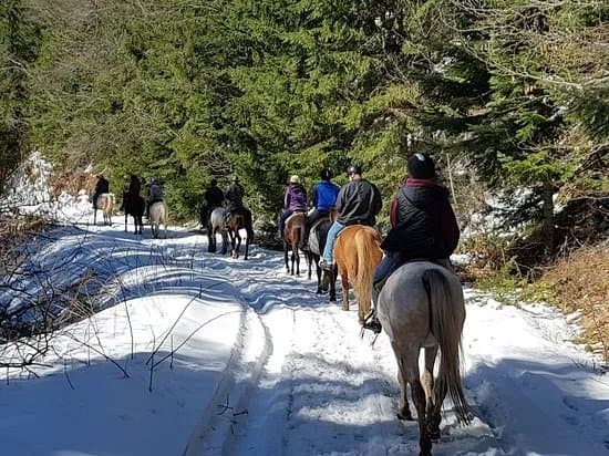 Horse Riding With Butch
