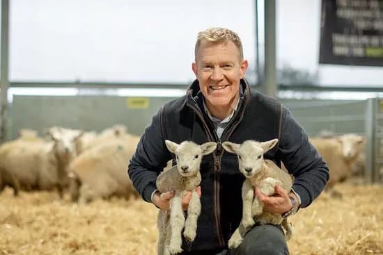Cotswold Farm Park