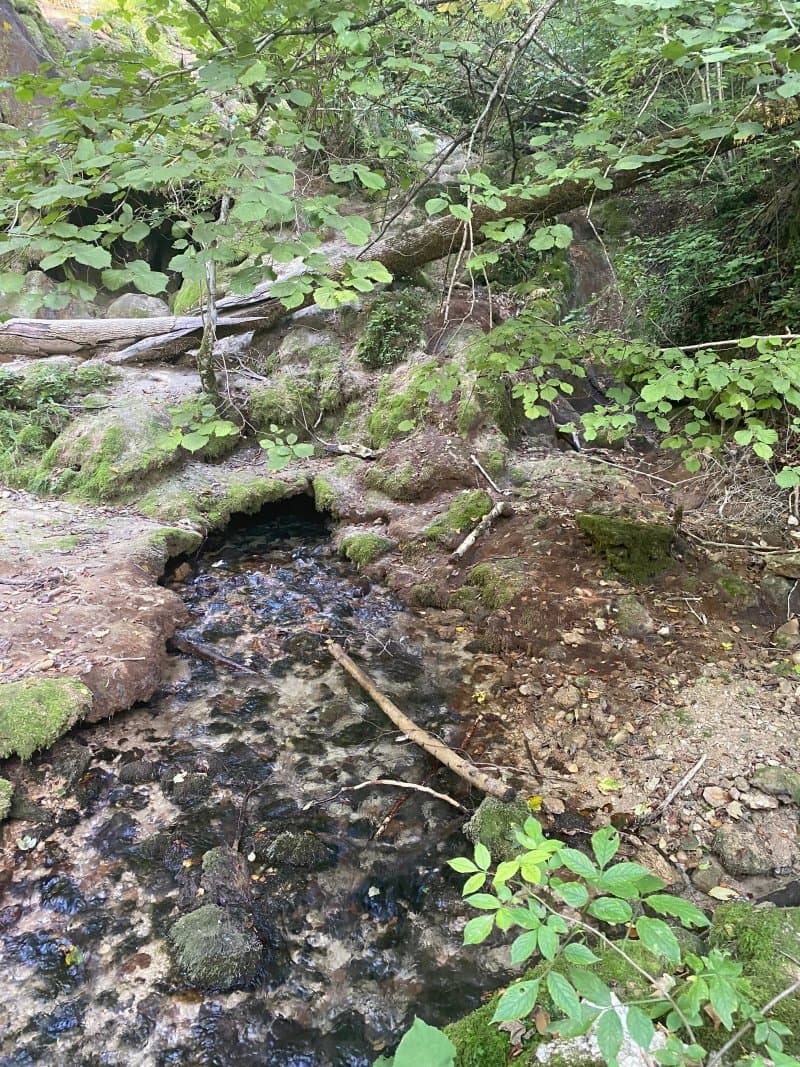 Cascada Beusnika