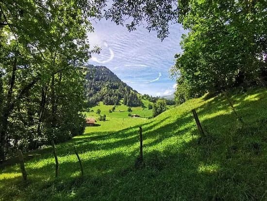 Tellenburg