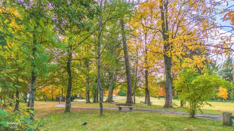 Minigolfanlage - Stadtpark Deggendorf