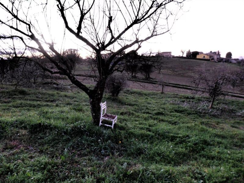 B&B Le due Upupe