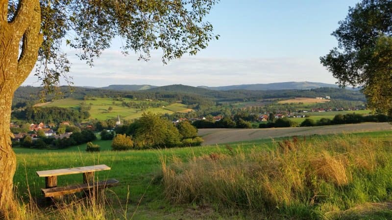 Zum Rosenbachschen Loewen