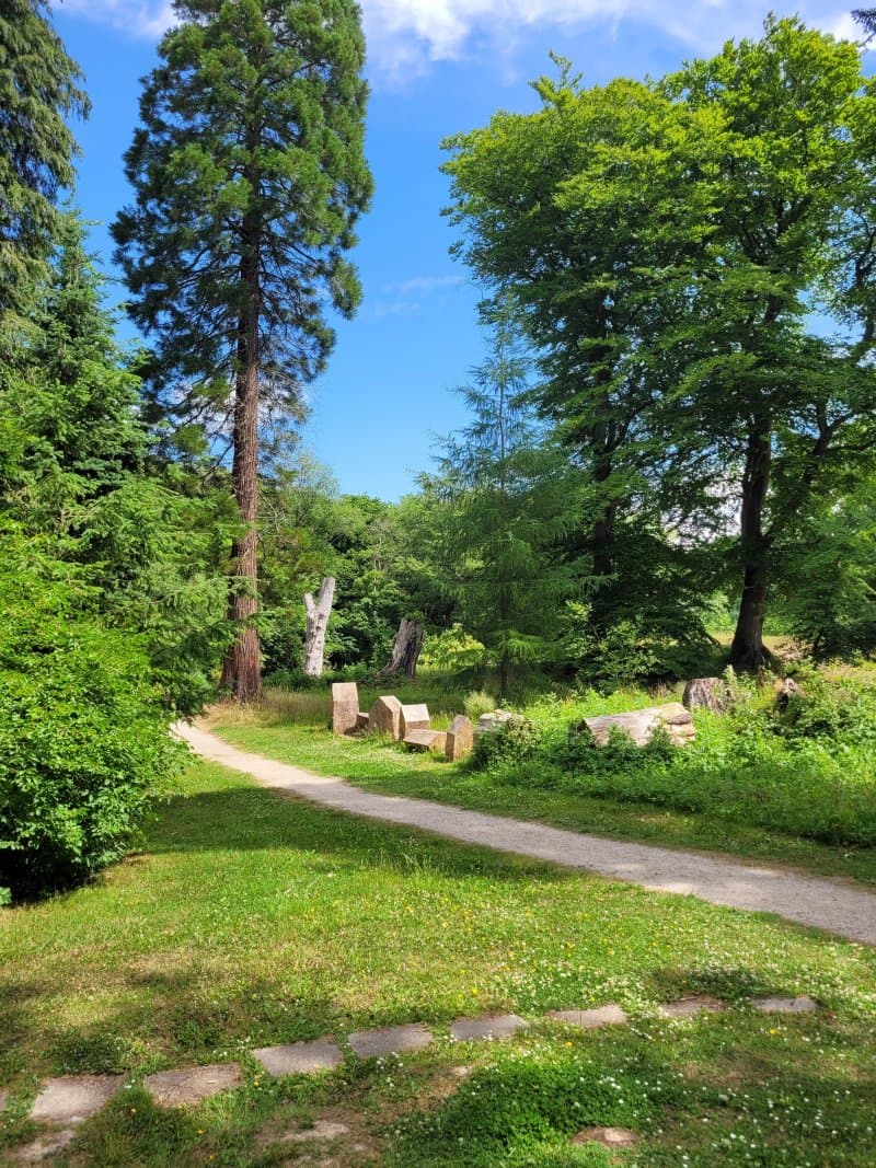 Forstbotanisk have
