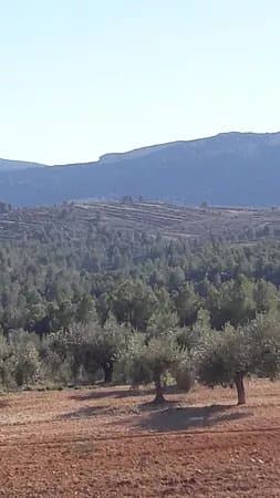 Fuente De Arriba