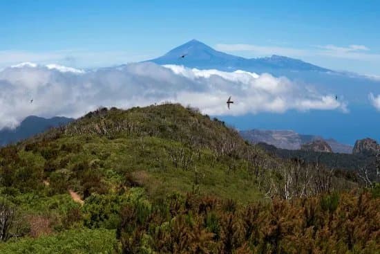 Alto de Garojonay