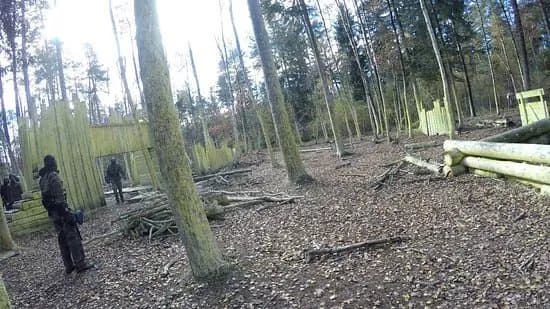 Paintball Jungle