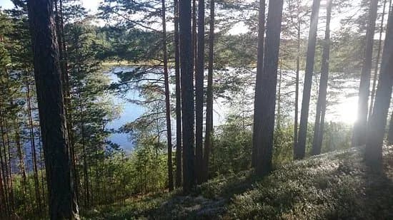 Glatjarns Badplats