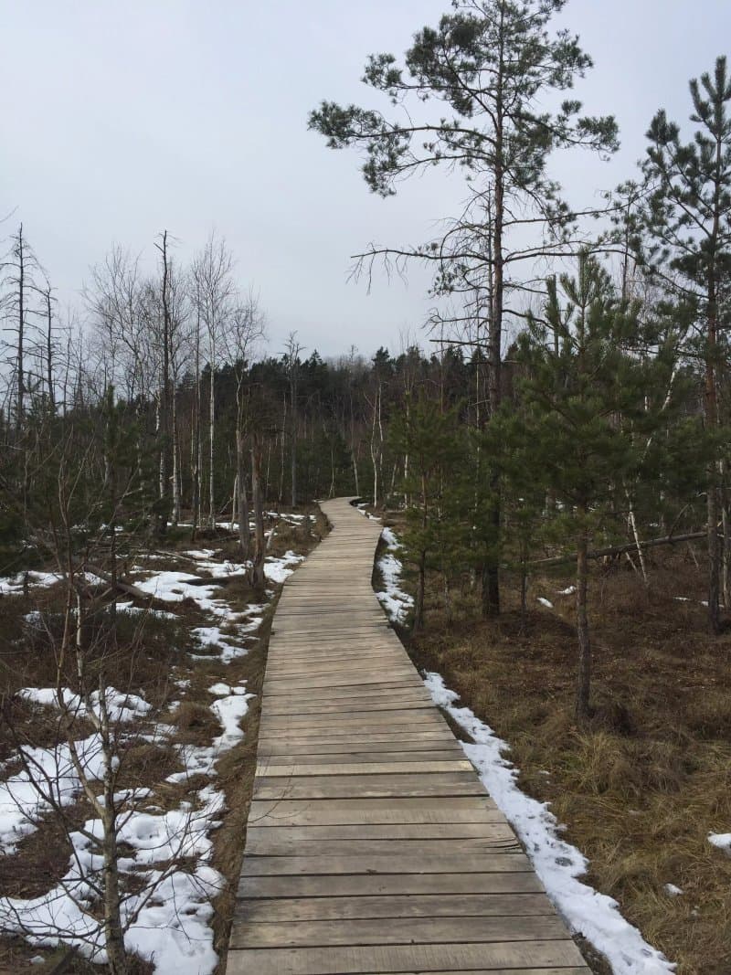 Dubrava Marsh Reserve