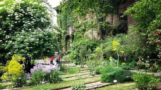 Orto Botanico di Brera