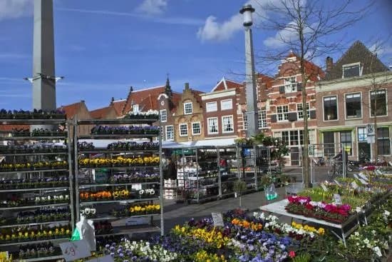 Statenplein