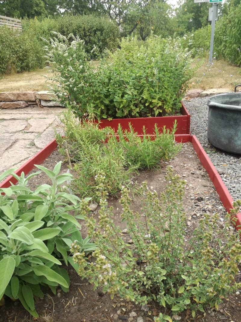 Andelsmejeriet B&B